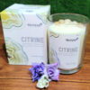 Palo Santo Patchouli Scented Candle