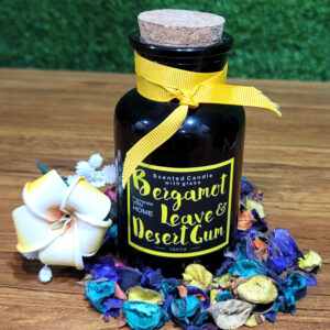 Vanilla Fragrance Scented Candle